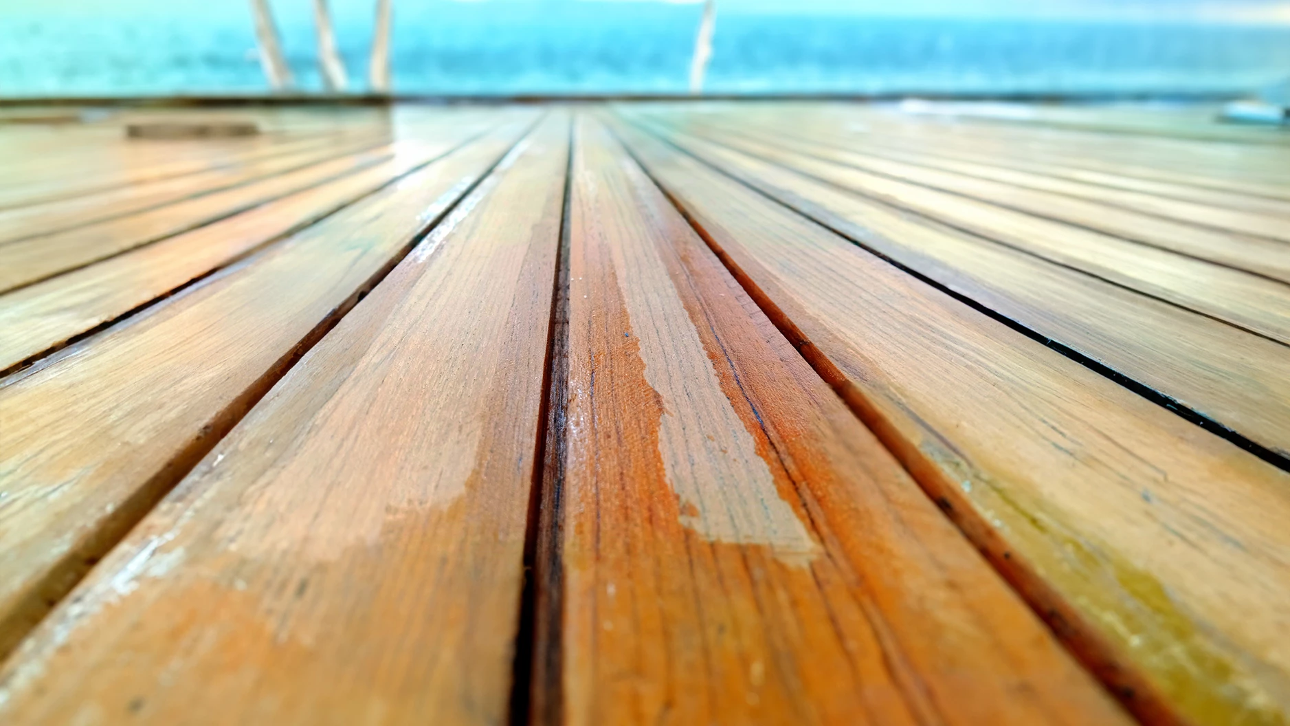 Marin Teak Astarı